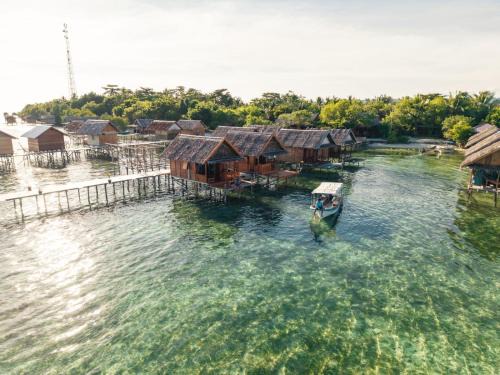 Arborek House | Angelfish Guest House Raja Ampat