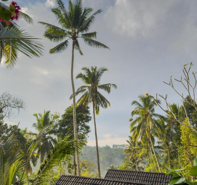 Carangsari House | Ayung Melasti Wooden House