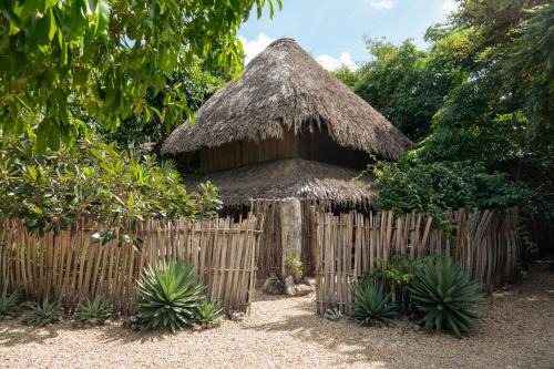 Rote Island Bed & Breakfast | Boa Gardens Boutique Guesthouse Rote