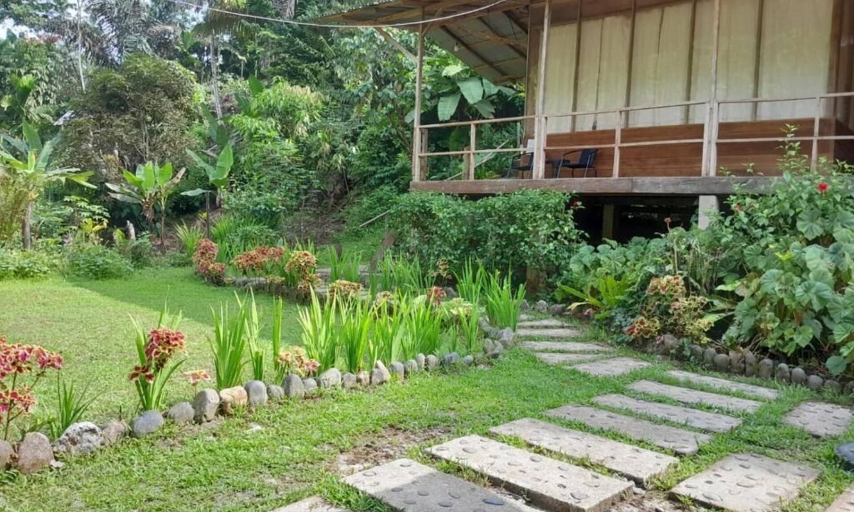 Batang Serangan Cottage | Bua Guest House Tangkahan