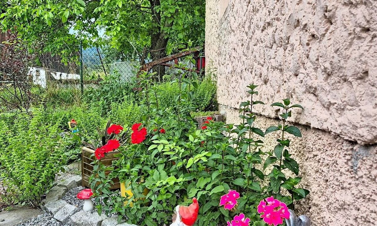 Klaffer am Hochficht Apartment | Cosy apartment for 3 people with WIFI, TV, terrace and pets allowed
