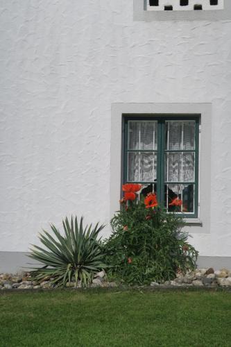 Texingtal House | Dörrmühle