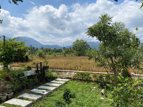 Bohorok Hotel | Djojo Bungalow - Jungle Trekking & Transportation - BUKIT LAWANG - NORTH SUMATERA