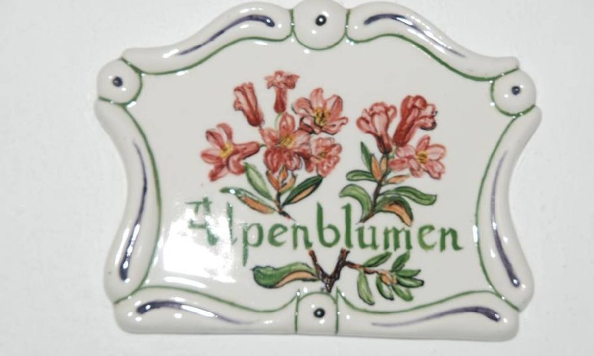 Vorderstoder House | Double room "Alpenblumen" with bath, WC - Ferienhof Zamsegg