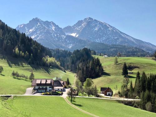 Spital am Pyhrn Apartment | Ferienhof Hintergrabenbauer