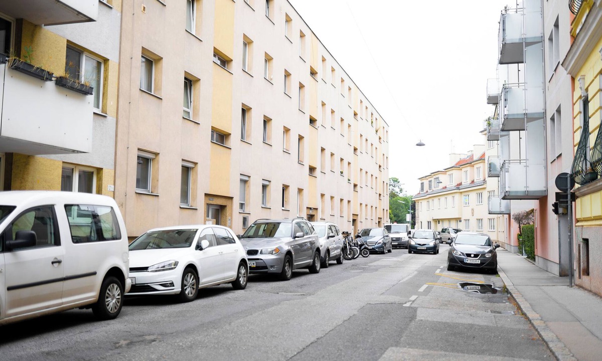 Oberdobling Apartment | Great Entire Apartment Near City Center Vienna Internal name: Austrian King 2