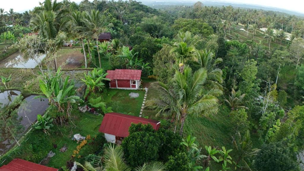 Tetebatu House | Greenday bungalows