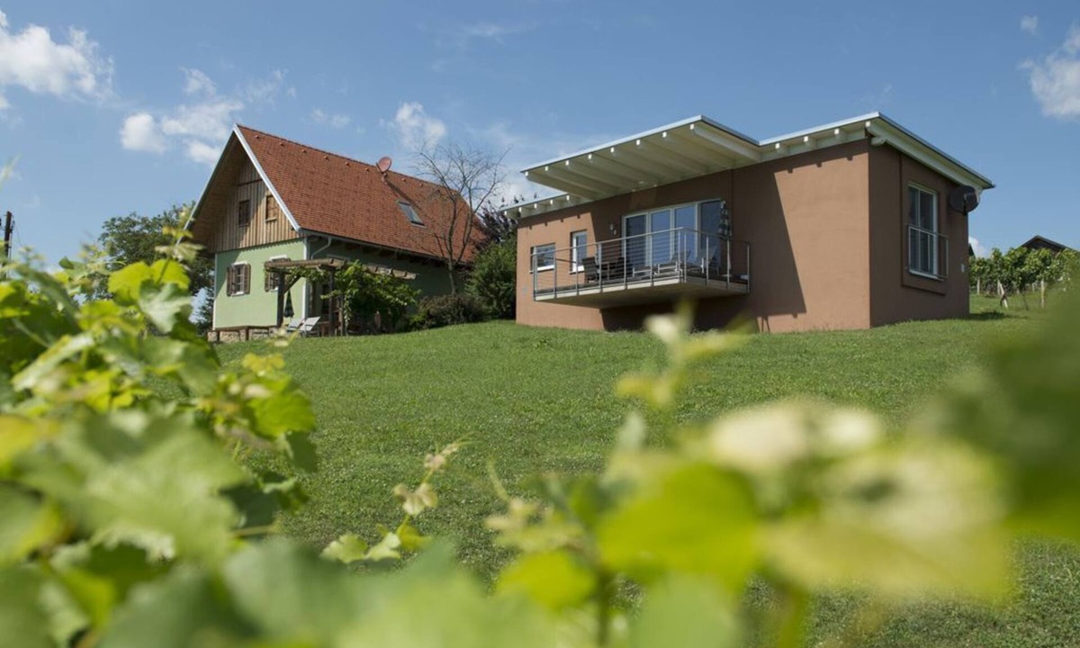 Johnsdorf-Brunn Other | Holiday home "Das Weinberg" - from 4 nights - Holiday homes in the vineyard