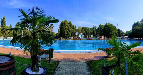 Komarom Hotel | Hotel Forras