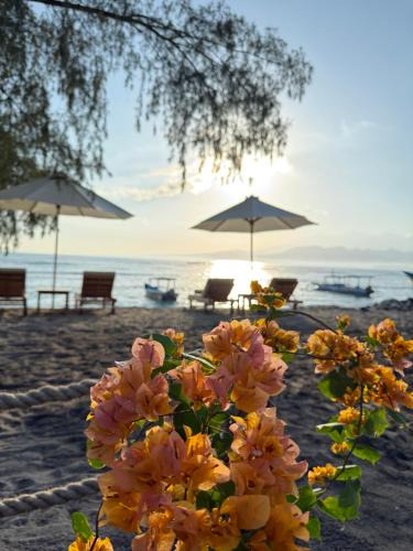 Gili Air Resort | Jaya Beach Bungalows
