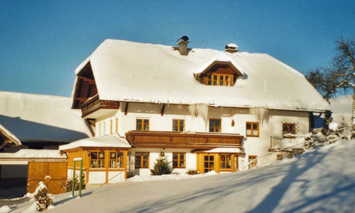Neukirchen bei Altmunster Other | Minabauer - Apartment 1