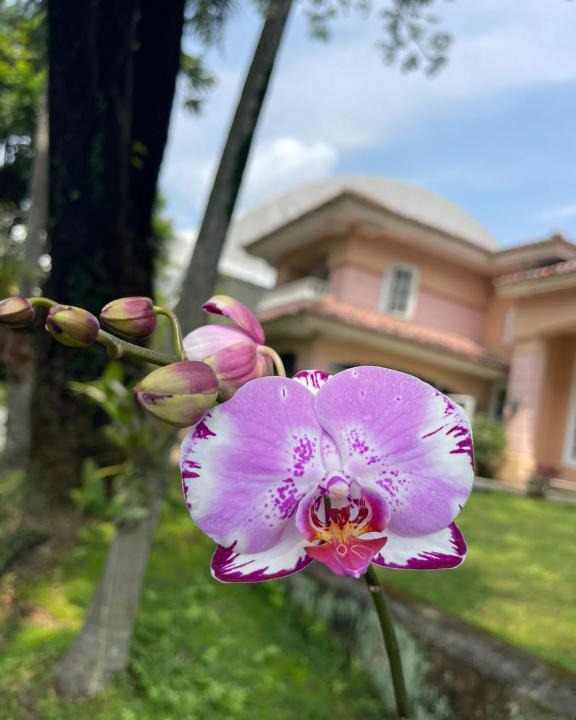 Citaringgul Villa | Papandayan Flowers House Villa