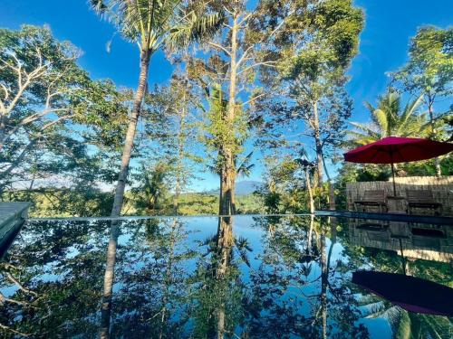 Banyuwangi Villa | Pondok Is Oke Family Private Room - 2 Bedroom Infinity pool