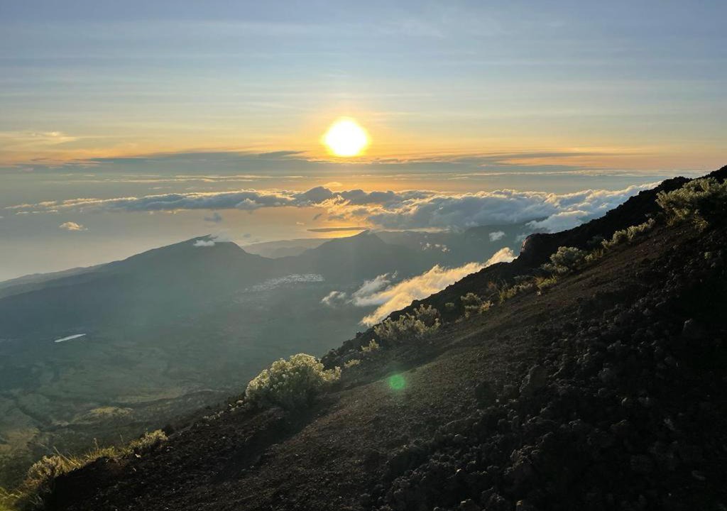 Bayan Other | Rinjani Trekking Information Center