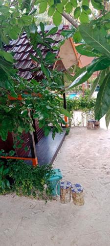 Waisai House | Saleo Pesona Satu