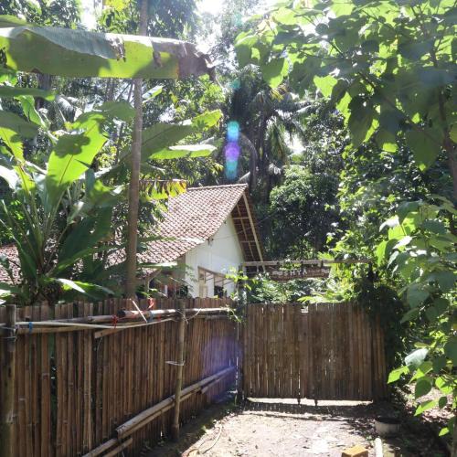 Cijulang House | SHYA House