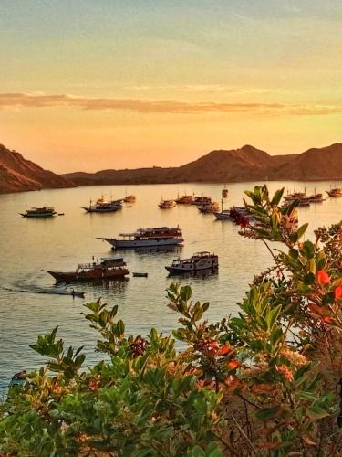 Komodo House | Siangel Homestay