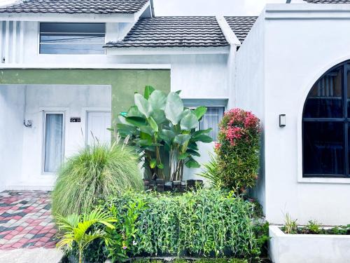 Wonosobo House | SleepOver BDI2