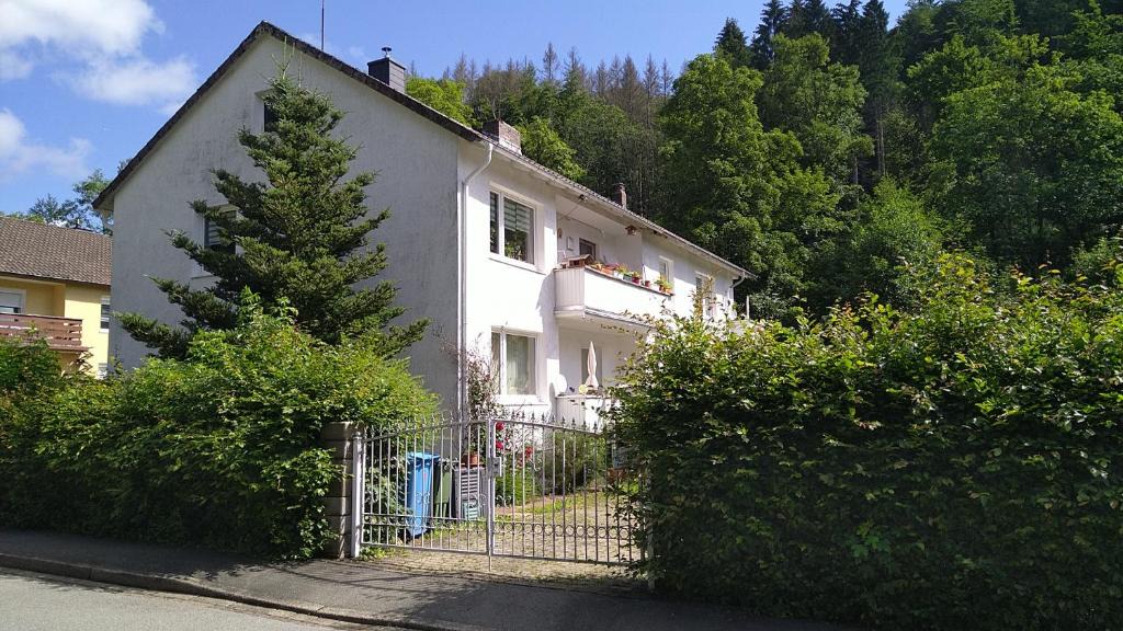 Bad Sachsa Apartment | Steinatal