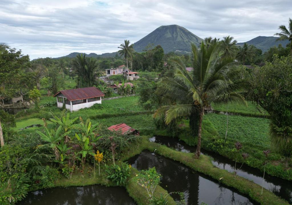 Tomohon House | Talaga Tomohon Home Stay and Fishing Pond