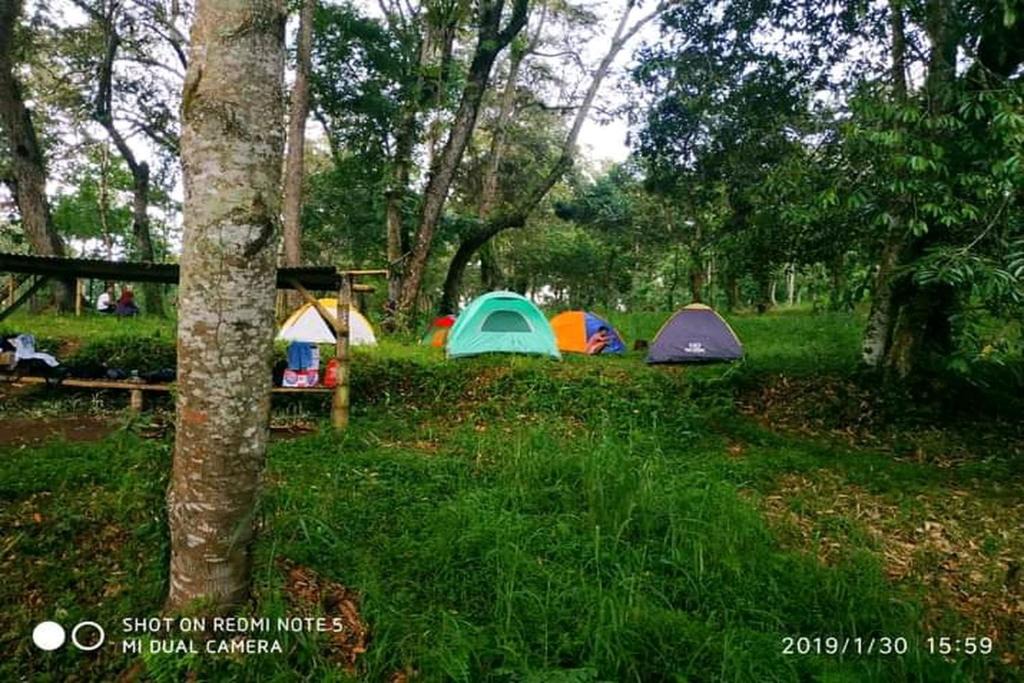 Kecamatan Montong Gading Hostel | Telaga Biru Camping Ground 1