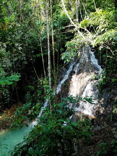 Bukit Lawang Hotel | TheJungleGuide - Lodges & Treks