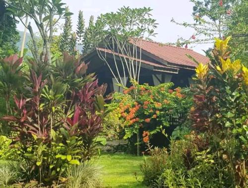 Ketambe Bed & Breakfast | Thousand hills peaceful bungalows and expert jungle treks