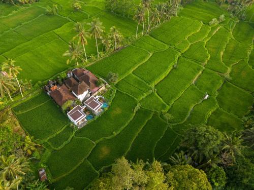 Kenderan House | Umah Geina Ubud