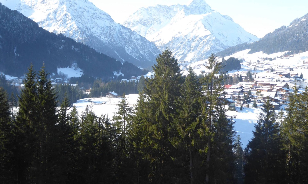 Riezlern Apartment | Vacation apartment/apartment for 2 guests with 55m² in Riezlern (270288)