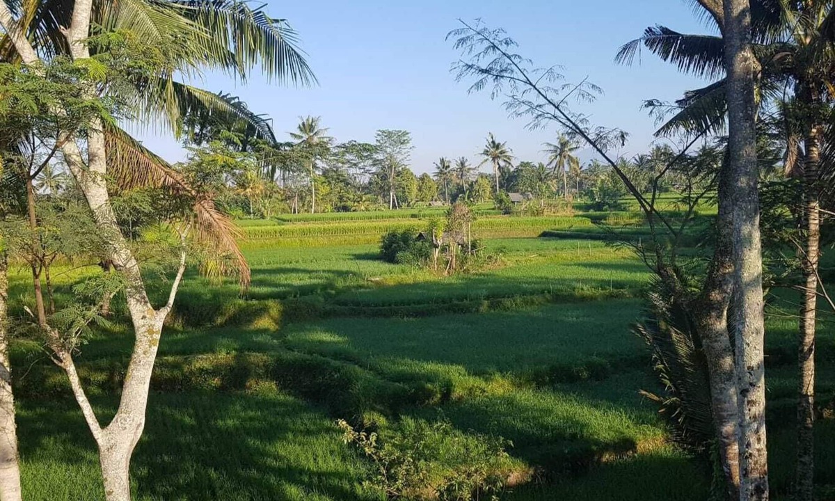 Ubud City-Centre Villa | VILLA FRANGIPANI 6 ROOMS 12+ PEOPLE UBUD