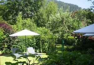 Apartment 6 - D - Studio - Appartements Steiner in Zell am See