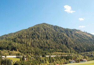 Ferienwohnung in Flachau in Flachau