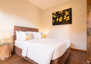 Seminyak Villa in Seminyak