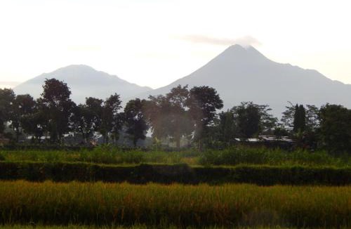 Sleman House | Alamanda Villas, Family Villas, Pool & Local Tours