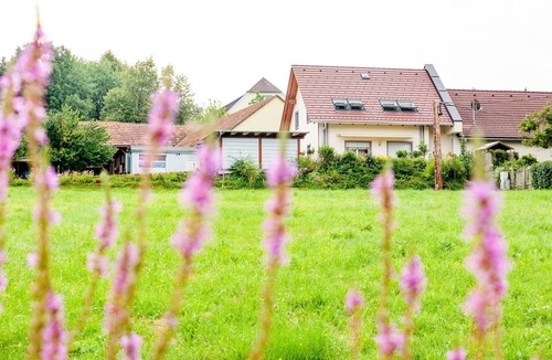Stubenberg House | Apartment for 2 persons + 1 child approx. 45 m² in Stubenberg am See, Styria (East Styria)