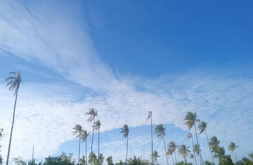 Kaledupa Island House | Areef Homestay Kaledupa