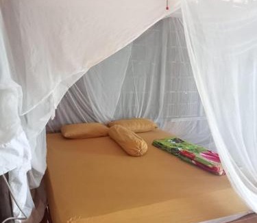 Pulau Pef House | Avinsea Homestay