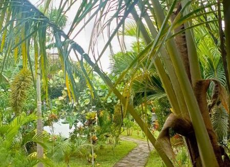 Bayan Hotel | Balé Sebaya - Bungalows Café Nature