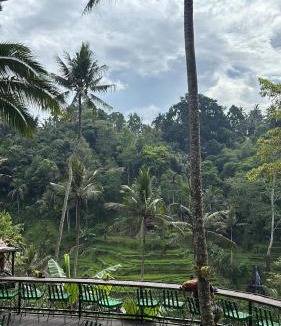 Denpasar Utara Boat Rental | Bali For Travelers