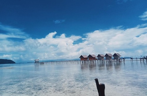 Arborek House | Baracuda Homestay