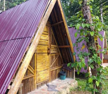 Bohorok Other | Batu Ridi Jungle