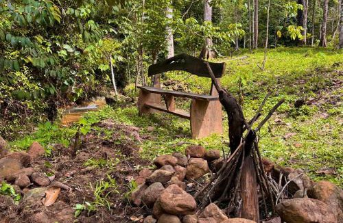 Bohorok Other | Batu Ridi Jungle