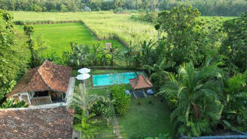 Bangunjiwo House | Blauwtuin Yogyakarta