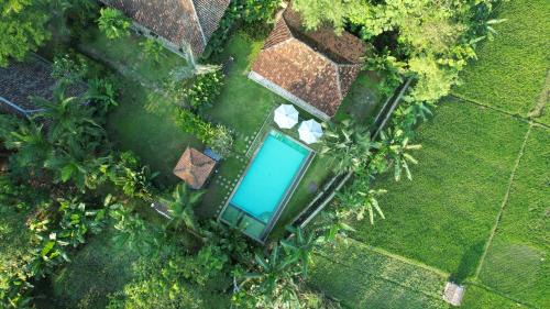 Bangunjiwo House | Blauwtuin Yogyakarta
