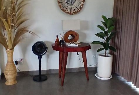 Lovina Villa | Blue Coconut Villa