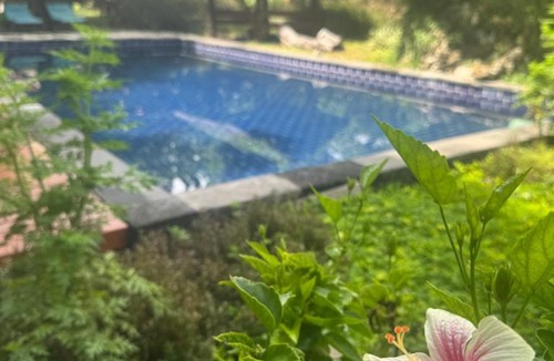 Moyo Hotel | Blue EmOcean Dive Eco lodge