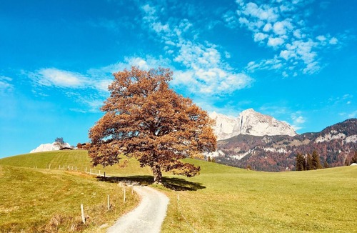 Sankt Johann in Tirol Ski Chalet | Chalet for 7 pers/3 bedrooms/garden/mountain views close to Kitzbühel & Ellmau