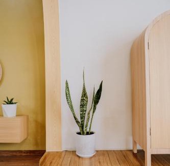 Wonosobo Apartment | cithara villa