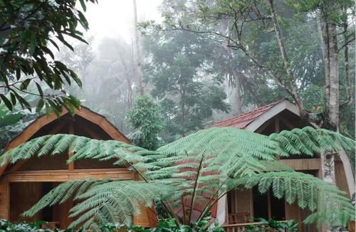 Tetebatu Cabin | Coffee Homestay Tetebatu