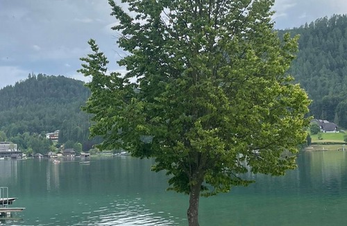 Unterburg am Klopeiner See Apartment | Comfortable Vacation Apartment A - Dominik Vacation Home